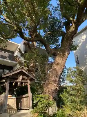楠玉龍神の{uncategorized: "未分類", other: "その他", undefined: "問題あり", building: "その他建物", grave: "お墓", sacred_gate: "鳥居", guardian: "狛犬", statue: "像", buddha: "仏像", history: "歴史", nature: "自然", garden: "庭園", animal: "動物", pagoda: "塔", temizu: "手水舎", mountain_gate: "山門・神門", sanctuary: "本殿・本堂", subordinate: "末社・摂社", art: "芸術", scenery: "景色", jizo: "地蔵", ema: "絵馬", goshuin: "御朱印", omikuji: "おみくじ", items: "授与品その他", amulet: "お守り", goshuincho: "御朱印帳", eats: "食事", festival: "お祭り", votive_dance: "神楽", shichigosan: "七五三参", wedding: "結婚式", experience: "体験その他", initially: "初詣", around: "周辺", anti_infection: "感染症対策"}