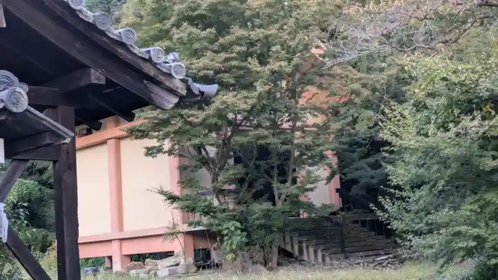 地蔵院(京都府)