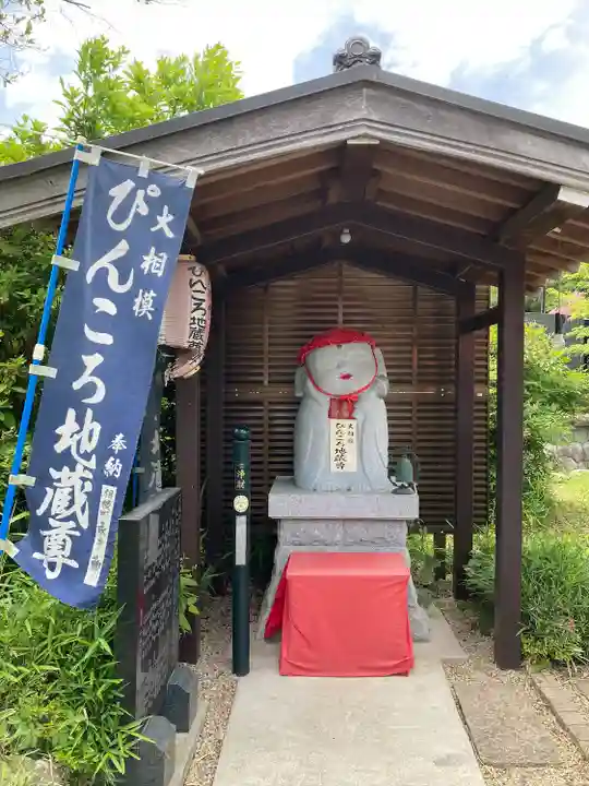 大聖寺(埼玉県)