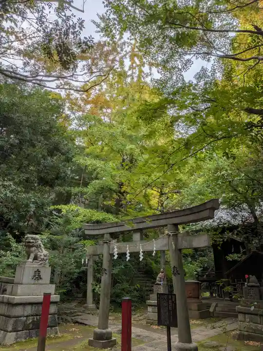 赤坂氷川神社(東京都)