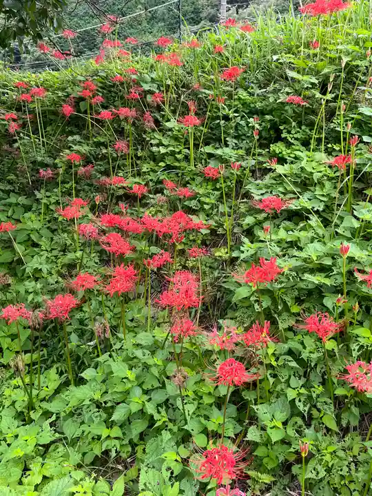 宝城坊(神奈川県)
