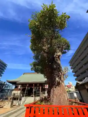 澪標住吉神社(大阪府)