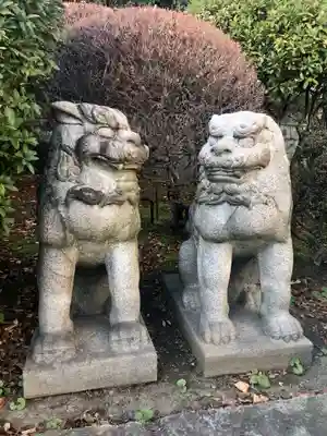 待乳山聖天(本龍院)の狛犬