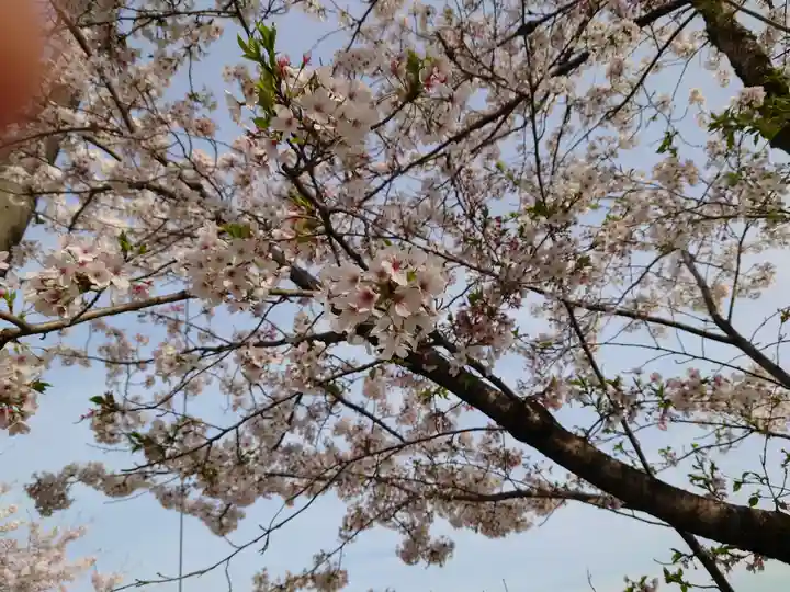 岐阜護國神社(岐阜県)