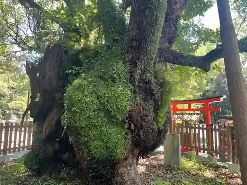 富知六所浅間神社(静岡県)