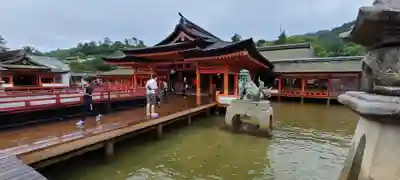 厳島神社(広島県)