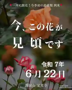 宝光寺(北海道)(2025年06月22日(日) 18時24分42秒投稿)
