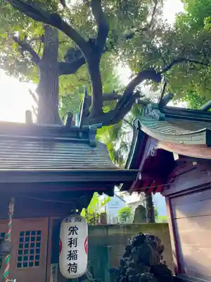 大森山王日枝神社(東京都)