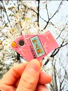 十日恵比須神社(福岡県)(2026年03月30日(月) 18時16分32秒投稿)