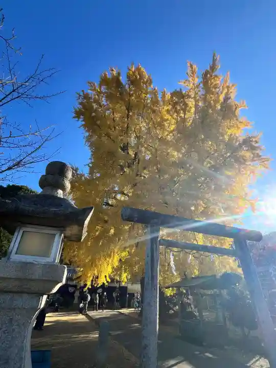 丹生酒殿神社(和歌山県)