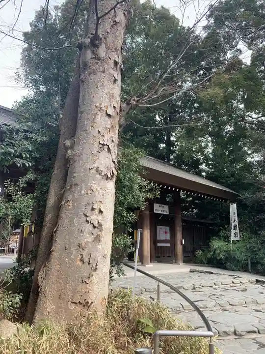 阿佐ヶ谷神明宮のその他建物