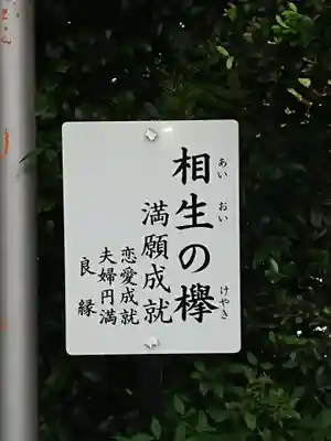 比々多神社の歴史