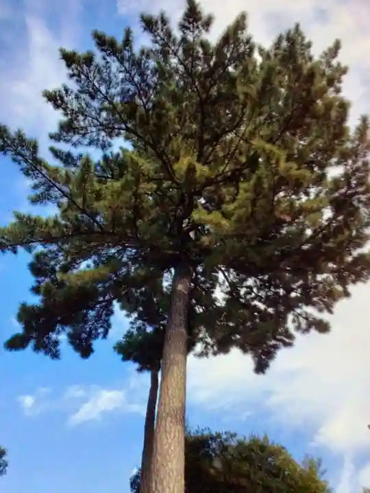 中野沼袋氷川神社(東京都)