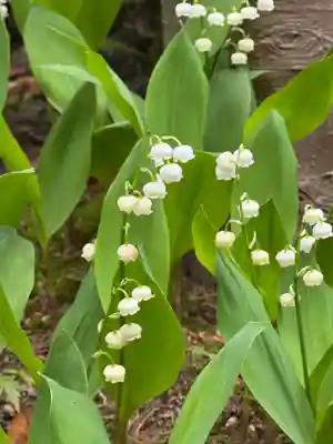開成山大神宮(福島県)