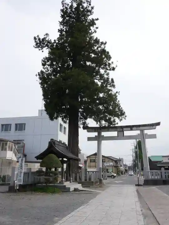 鹿沼今宮神社(栃木県)