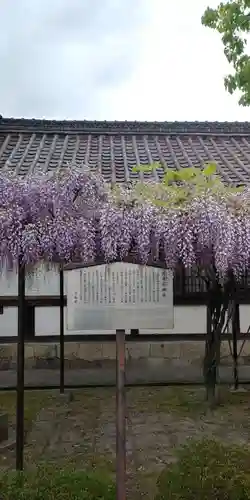 六孫王神社の自然