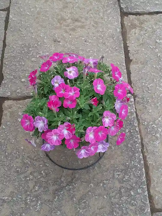 伏木香取神社(茨城県)