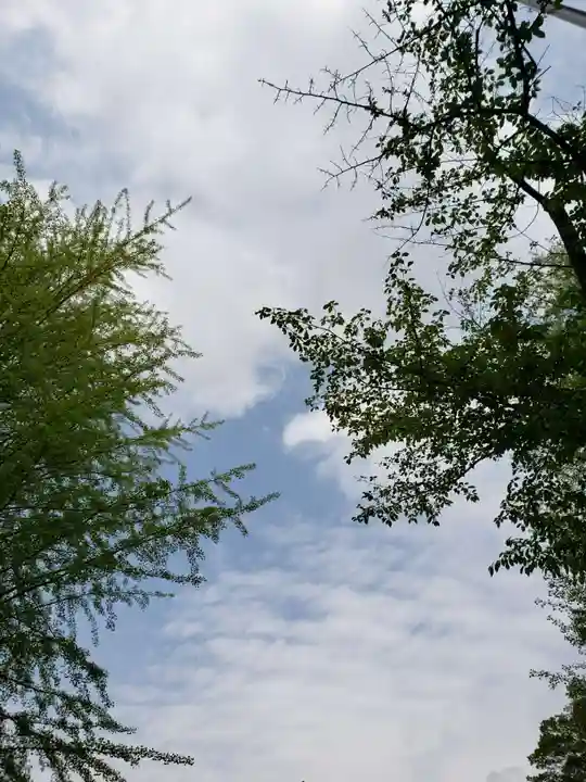 渋谷氷川神社(東京都)
