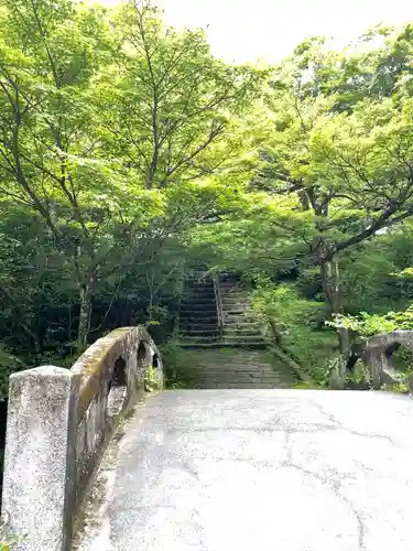 大洞院の建物その他