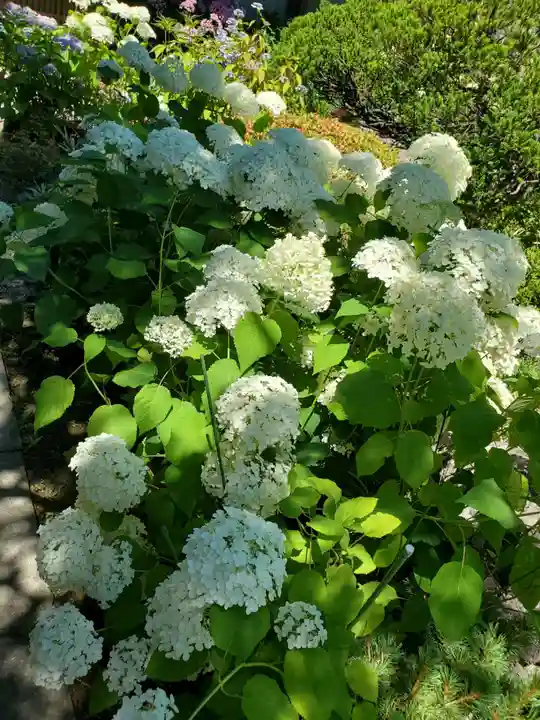 豊景神社の自然