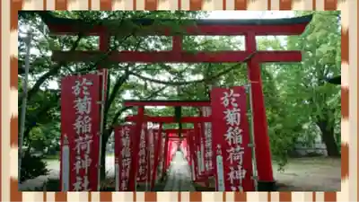 於菊稲荷神社(群馬県)