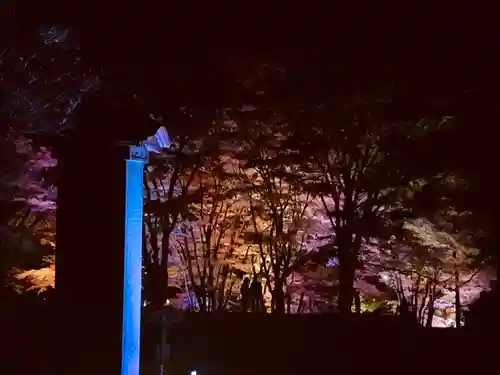 土津神社｜こどもと出世の神さまの景色