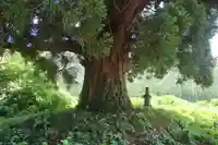 御礼神社の歴史