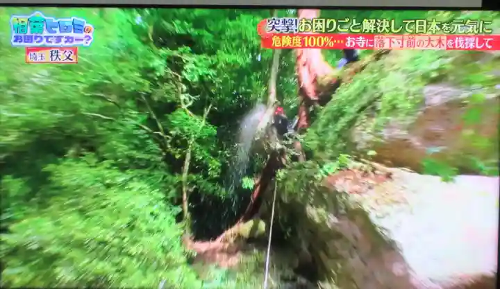 観音院(埼玉県)