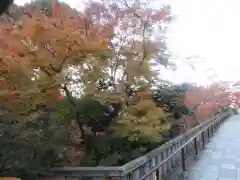 清水寺(京都府)