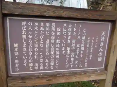 高橋東神社のその他建物