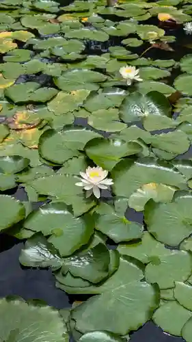 大原野神社(京都府)