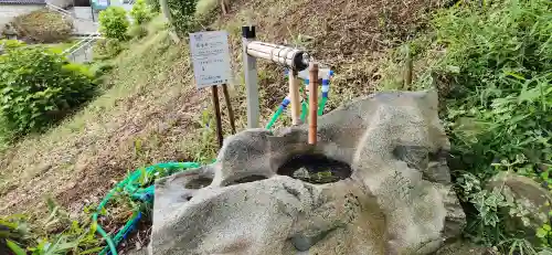 岡部春日神社～👹鬼門よけの🌺花咲く🌺やしろ～の手水