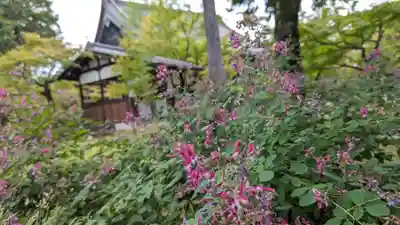 真正極楽寺(真如堂)(京都府)