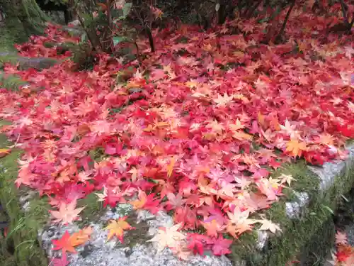 今熊野観音寺(京都府)