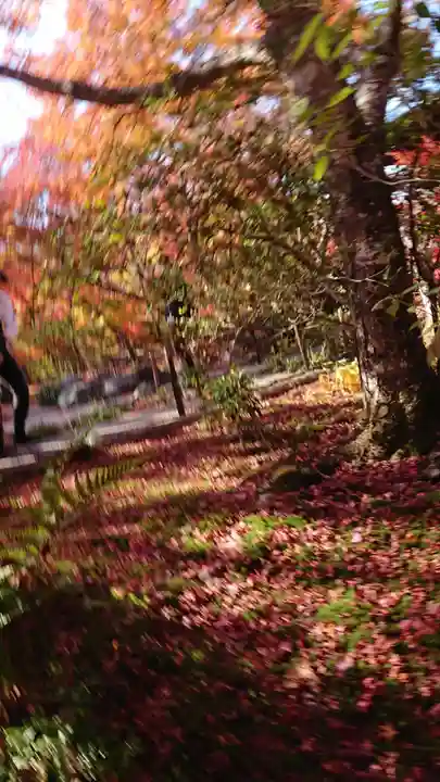 宝筐院(京都府)
