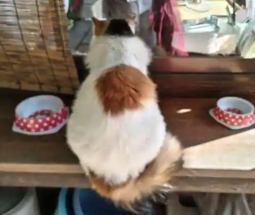 阿邪訶根神社(福島県)