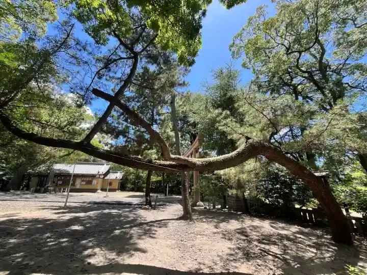 和歌山縣護國神社(和歌山県)
