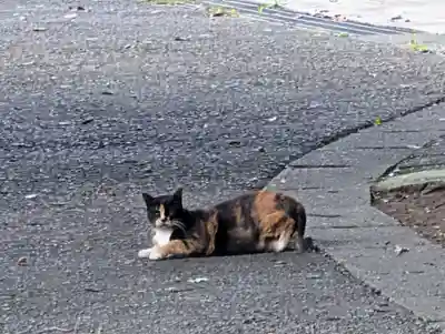 春日神社(神奈川県)