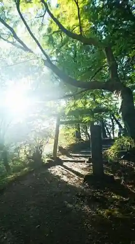 香取神宮の景色