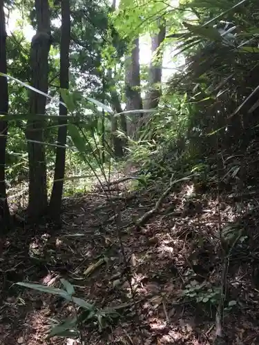 大山祇神社の周辺