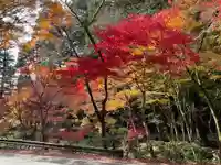 小國神社(静岡県)