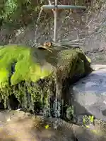 神魂神社(島根県)