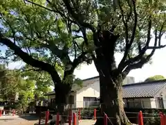 美奈宜神社の自然