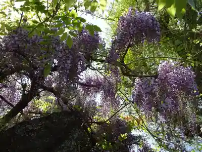 長福寺(神奈川県)