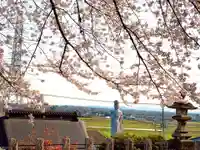 埼玉厄除け開運大師・龍泉寺(切り絵御朱印発祥の寺)の自然