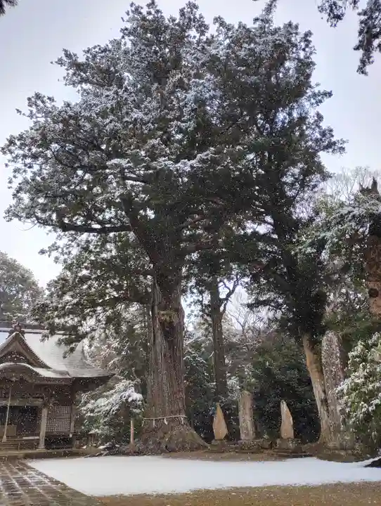 松山神社(千葉県)