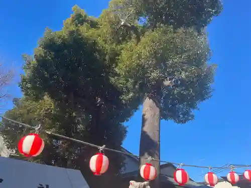 相模原氷川神社のその他建物