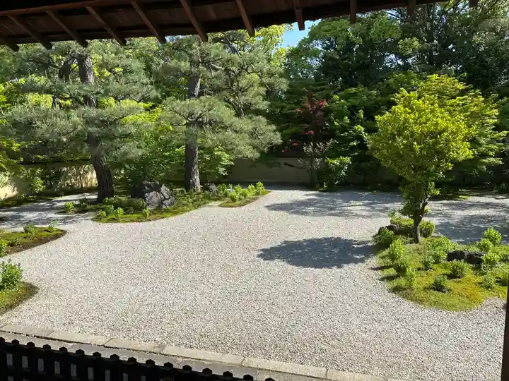 廬山寺(廬山天台講寺)の庭園
