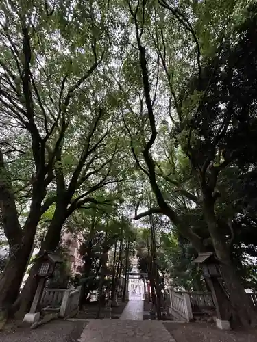 洲崎大神(神奈川県)