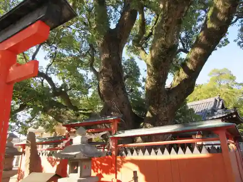龍田神社のその他建物